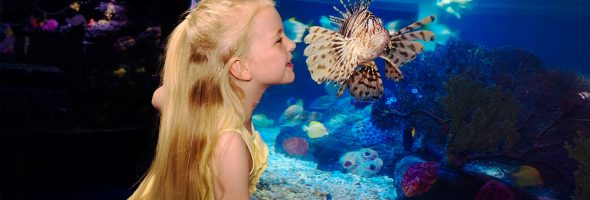 Istanbul Tours with Kids